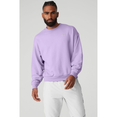 Ropa De Abrigo Alo Yoga Accolade Crew Neck Hombre Morados | MX-24WTID