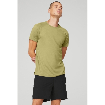 Short Sleeve Alo Yoga The Triumph Crew Neck Tee Hombre Wasabi | MX-64FKVJ