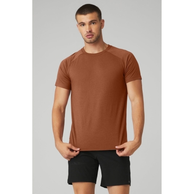 Short Sleeve Alo Yoga The Triumph Crew Neck Tee Hombre Rust | MX-75WMEL