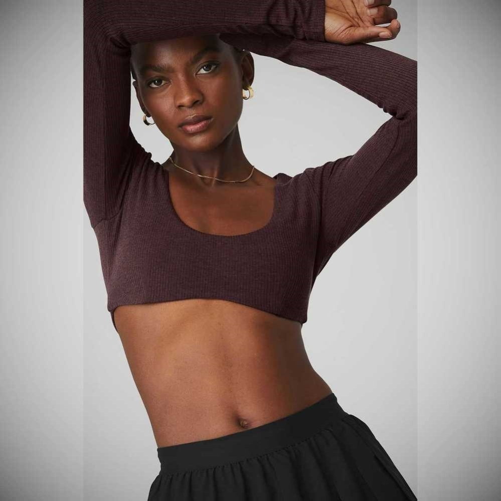 Long Sleeve Bra Alo Yoga Acanalado Defined Mujer Morados Grises | MX-04CZAM