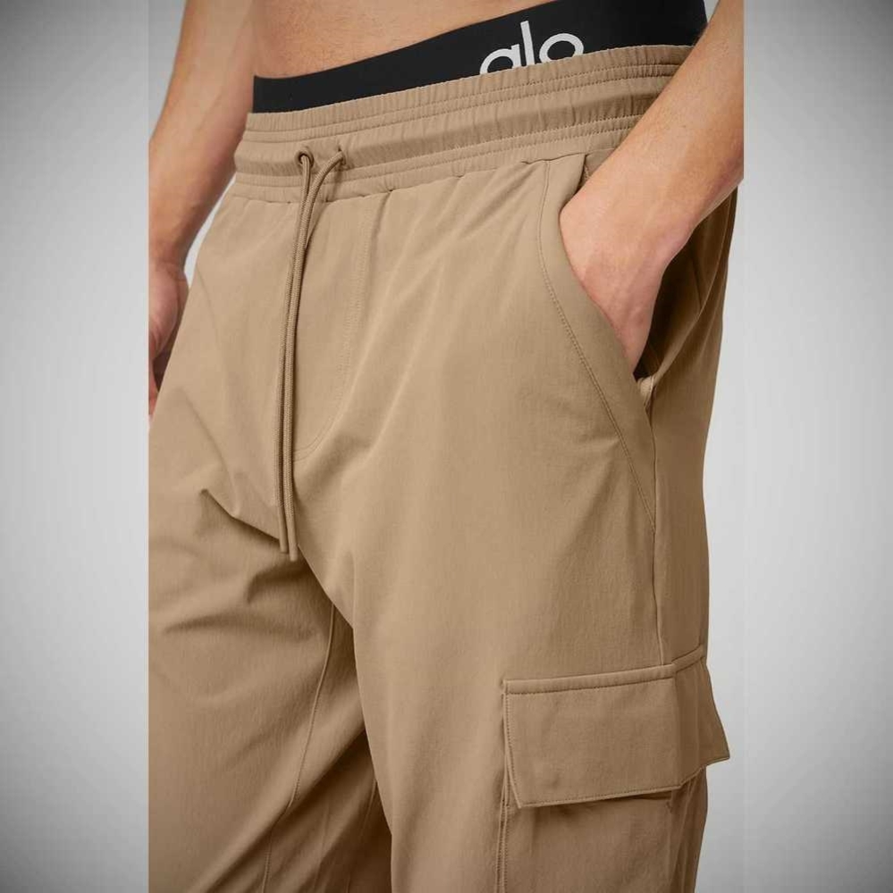 Pantalones Alo Yoga Cargo Division Field Hombre Marrom | MX-27KOXT