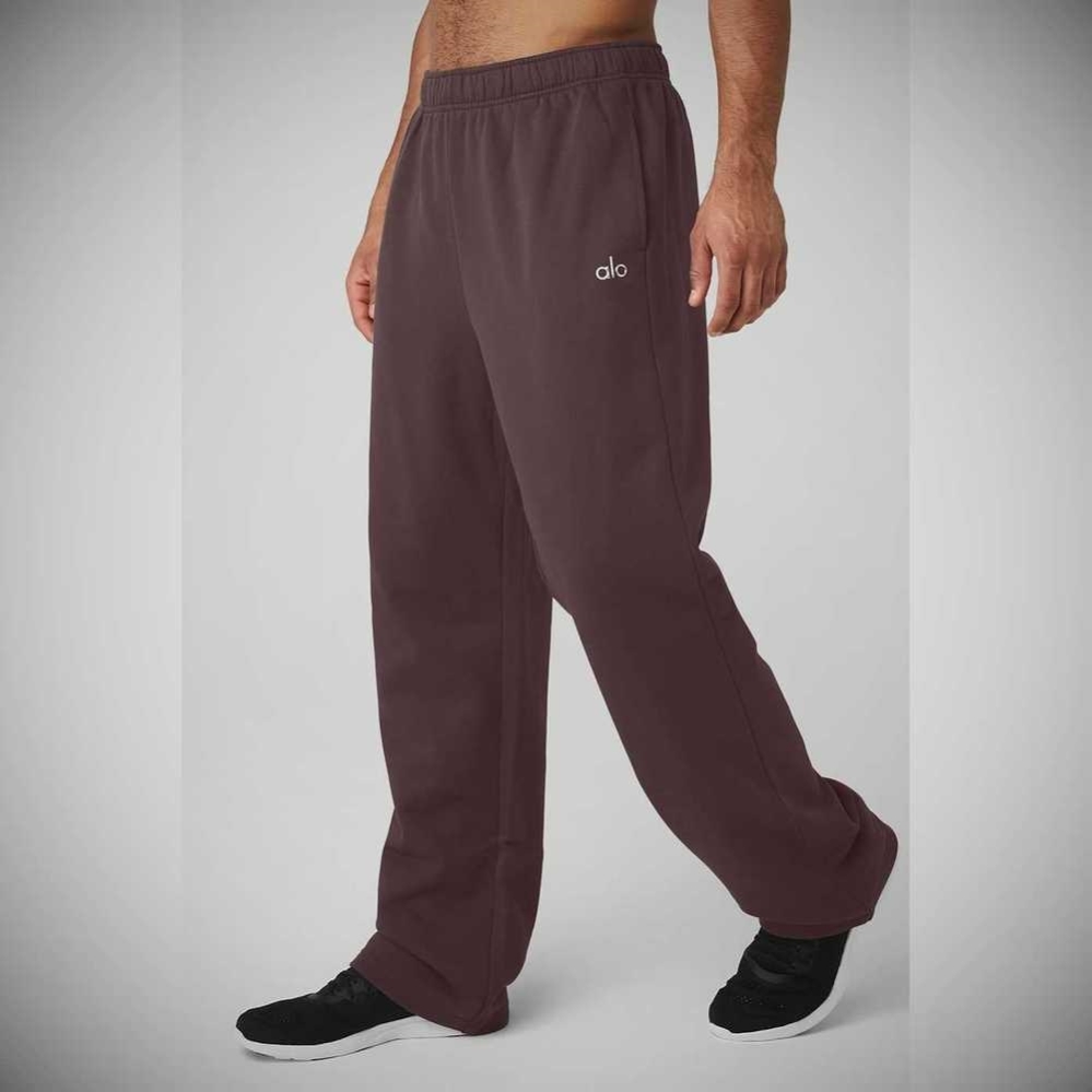 Pantalones Deportivos Alo Yoga Accolade Directo Leg Hombre Morados Grises | MX-80ORPA