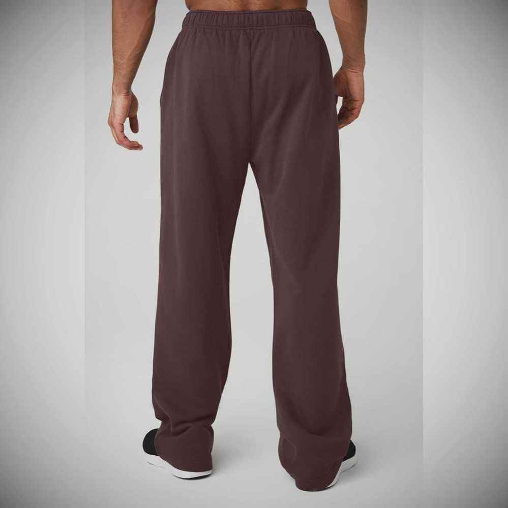 Pantalones Deportivos Alo Yoga Accolade Directo Leg Hombre Morados Grises | MX-80ORPA