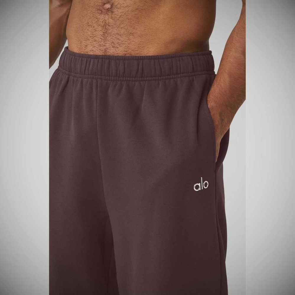 Pantalones Deportivos Alo Yoga Accolade Directo Leg Hombre Morados Grises | MX-80ORPA