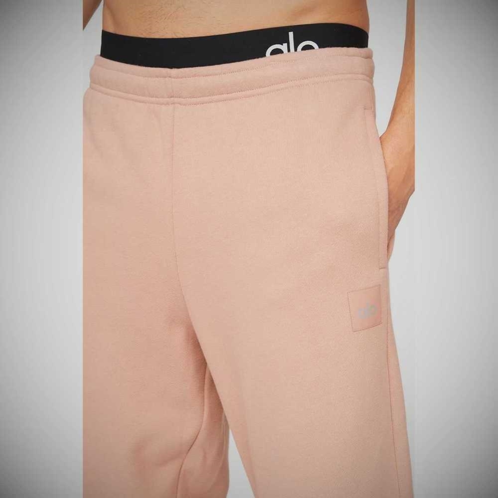 Pantalones Deportivos Alo Yoga Renown Heavy Weight Hombre Rosas Grises | MX-93EDOK