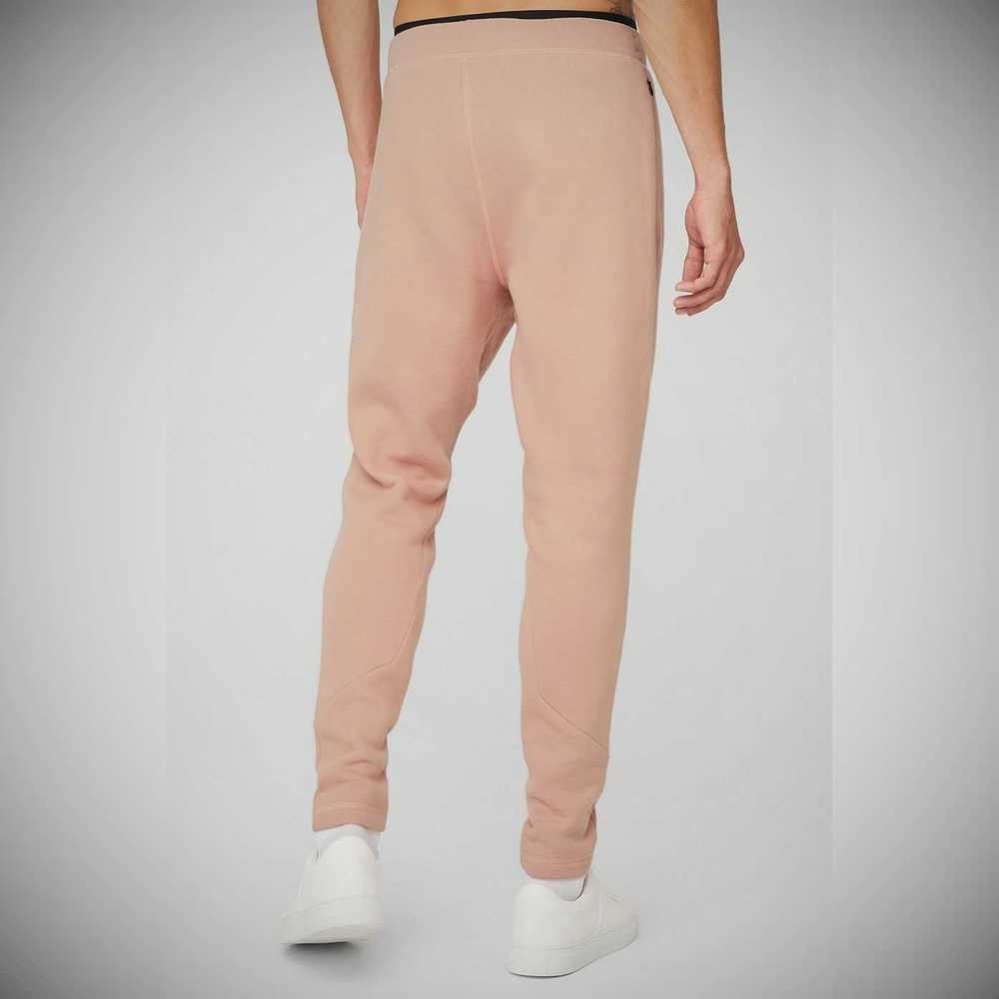 Pantalones Deportivos Alo Yoga The Triumph Hombre Rosas Grises | MX-58PATZ