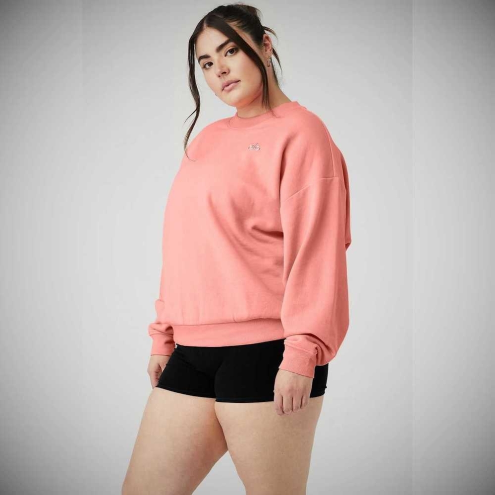 Pullover Alo Yoga Accolade Crew Neck Mujer Rosas | MX-05CMAP