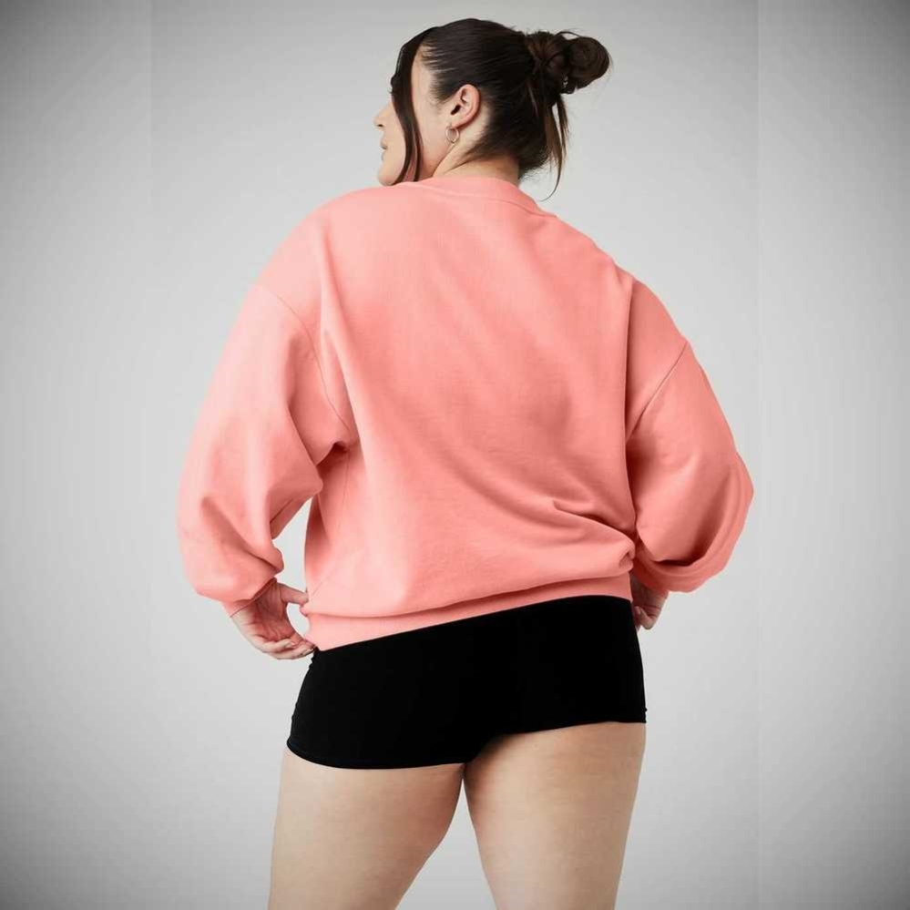 Pullover Alo Yoga Accolade Crew Neck Mujer Rosas | MX-05CMAP