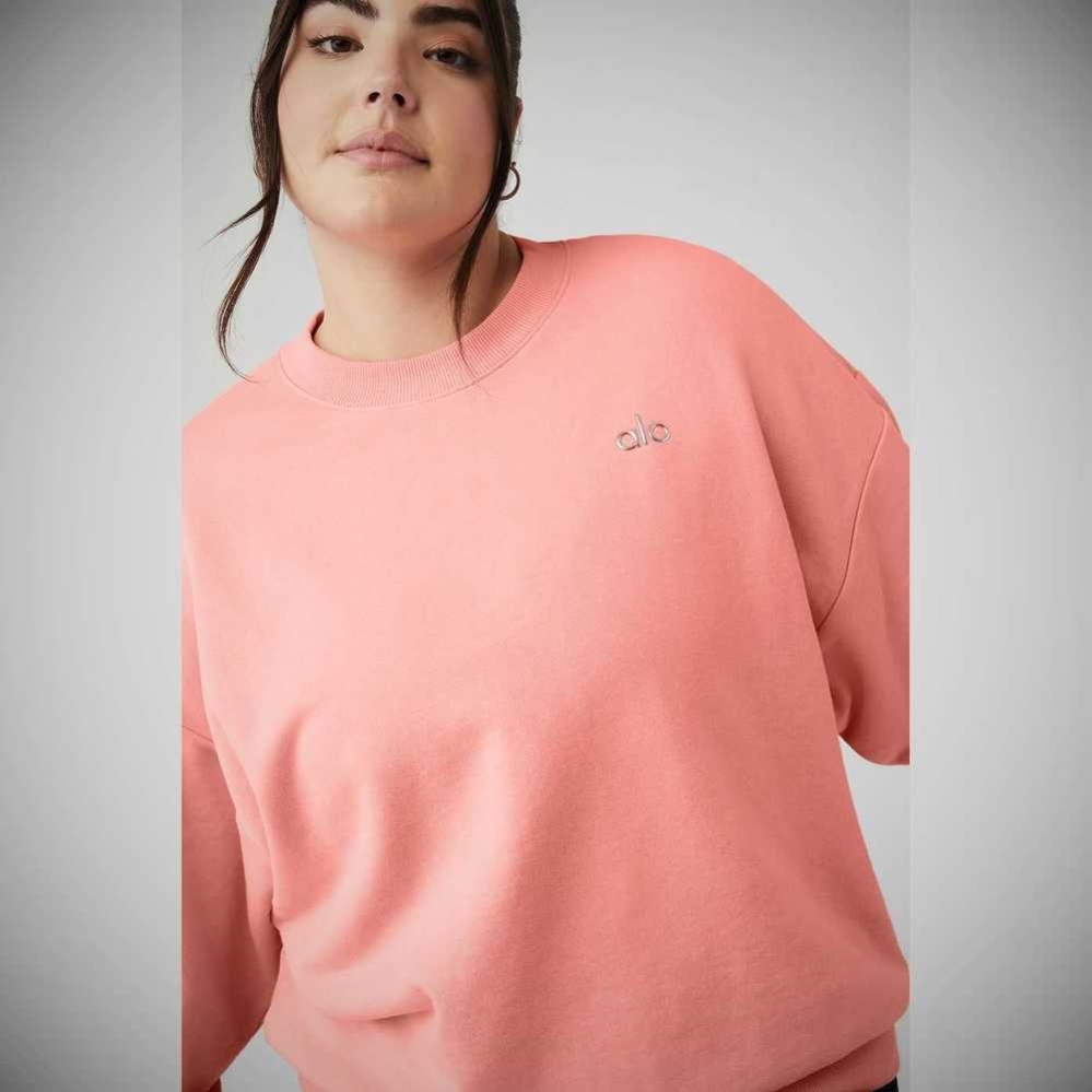 Pullover Alo Yoga Accolade Crew Neck Mujer Rosas | MX-05CMAP