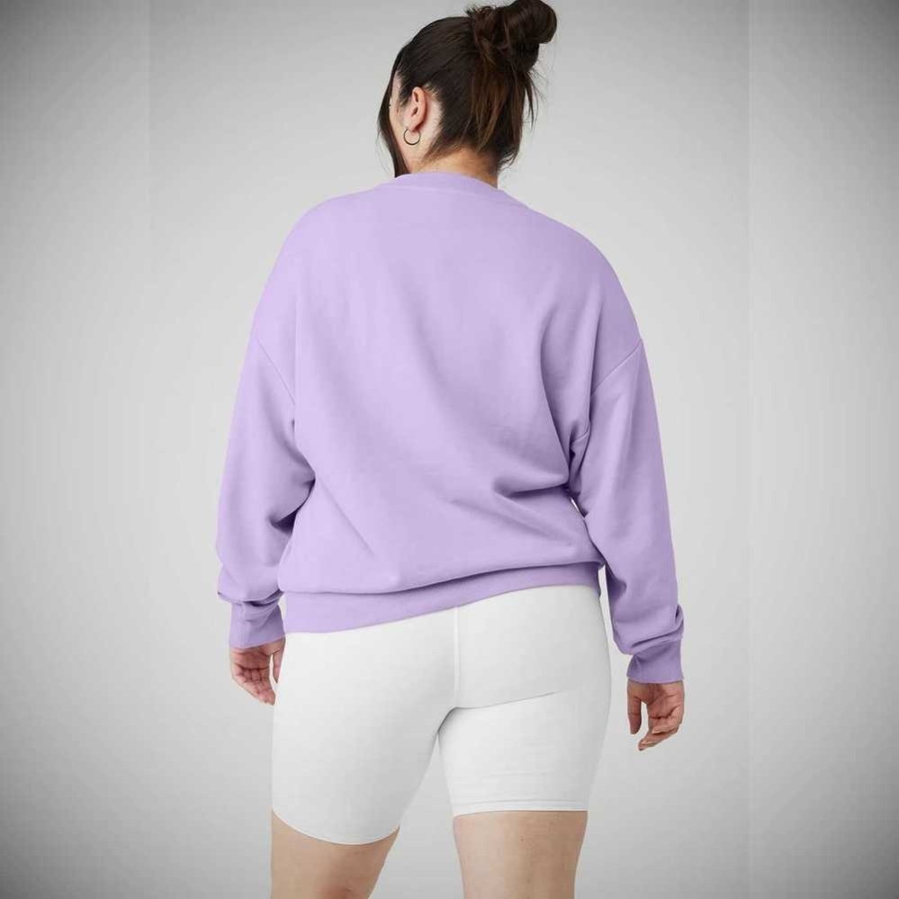 Pullover Alo Yoga Accolade Crew Neck Mujer Morados | MX-35GAEC