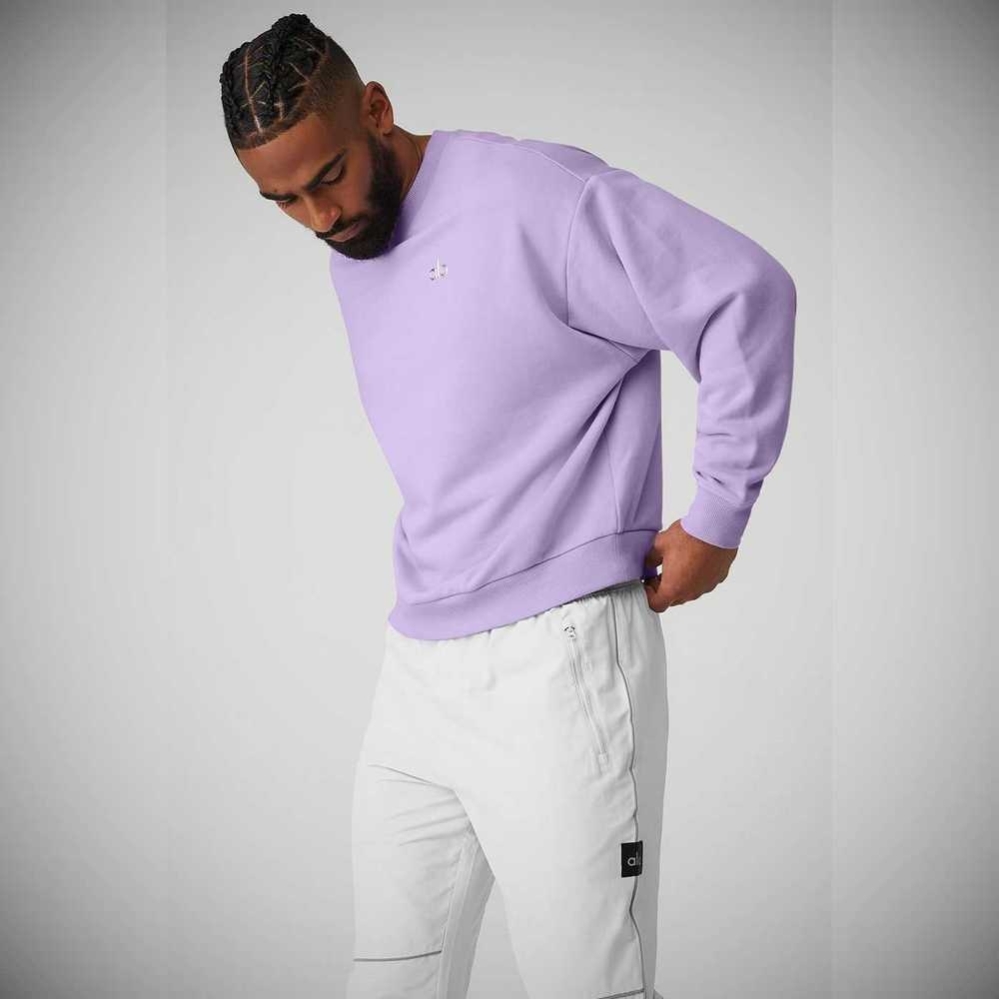 Ropa De Abrigo Alo Yoga Accolade Crew Neck Hombre Morados | MX-24WTID