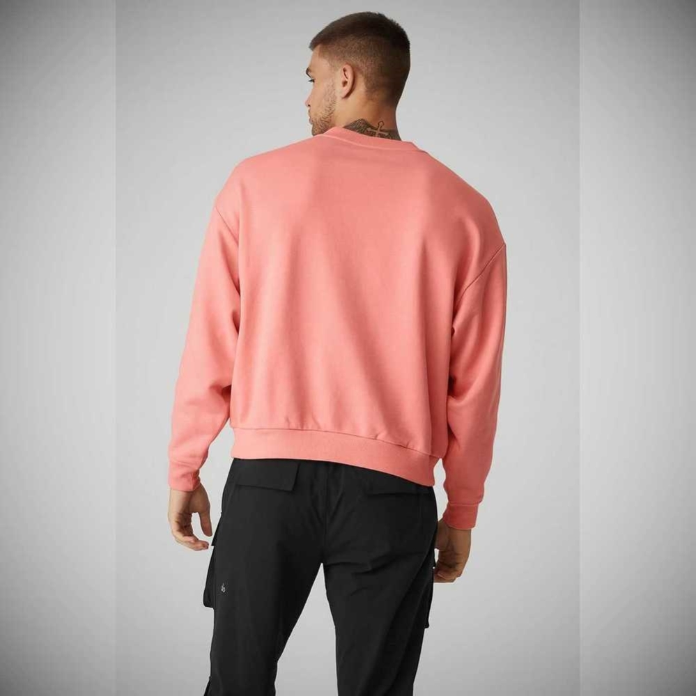 Ropa De Abrigo Alo Yoga Accolade Crew Neck Hombre Rosas | MX-81QMBT