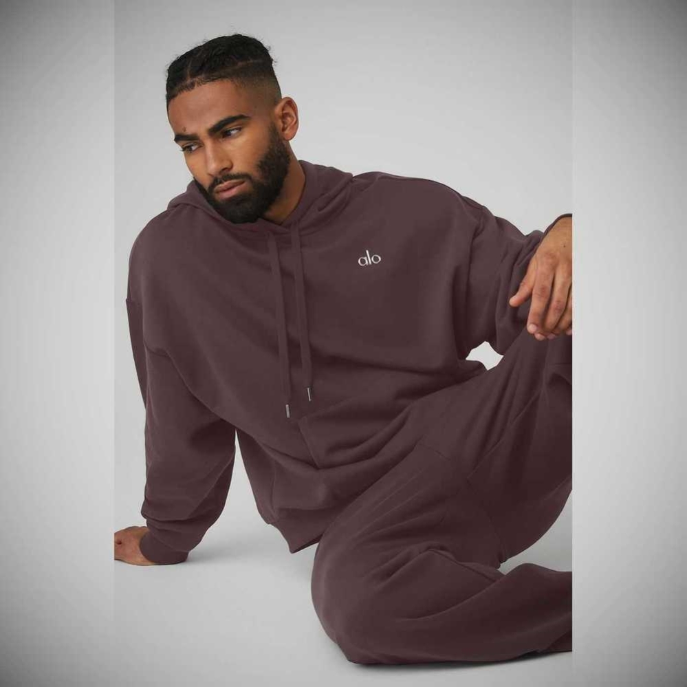 Ropa De Abrigo Alo Yoga Accolade Hombre Morados Grises | MX-61DOAR