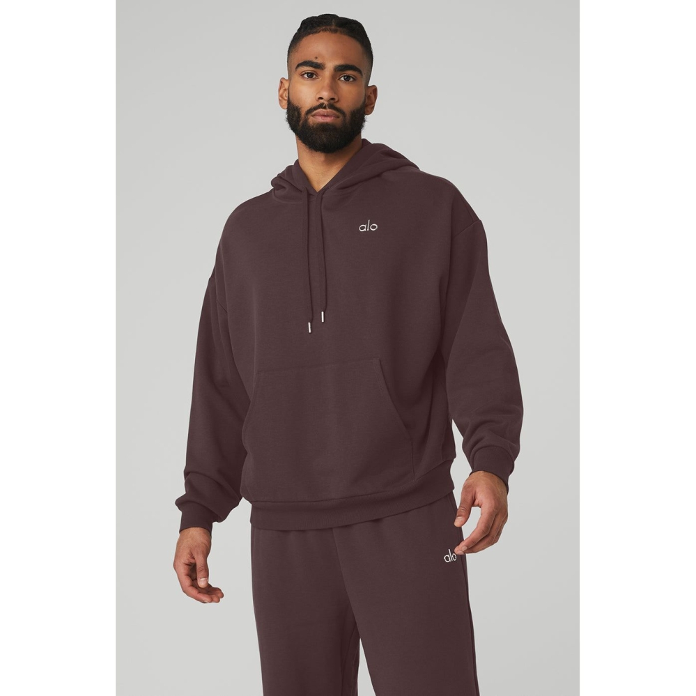 Ropa De Abrigo Alo Yoga Accolade Hombre Morados Grises | MX-61DOAR