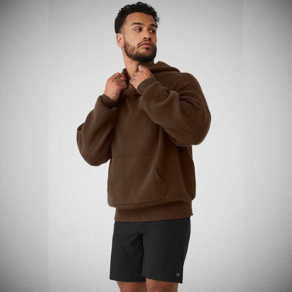 Ropa De Abrigo Alo Yoga Scholar Encapuchado Sueter Hombre Cafes | MX-83WAHD