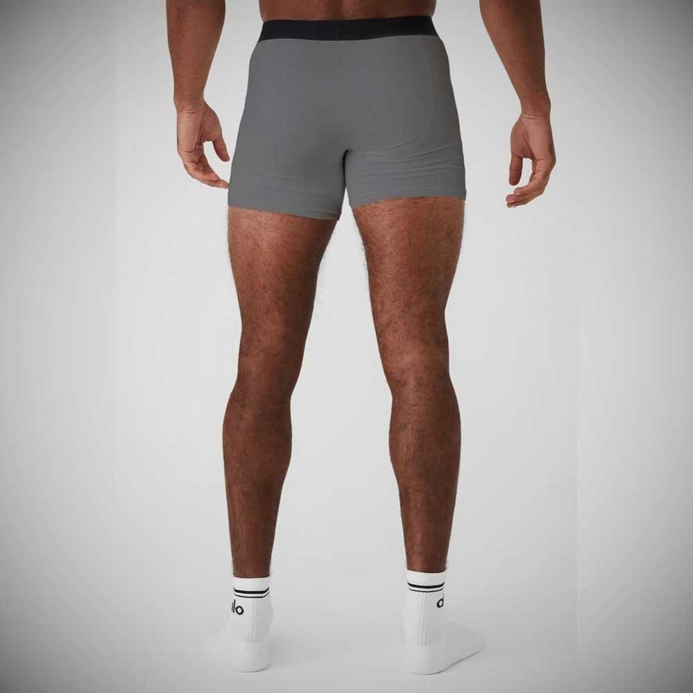 Ropa Interior Alo Yoga Day And Night Boxer Brief Hombre Grises | MX-23DRSM