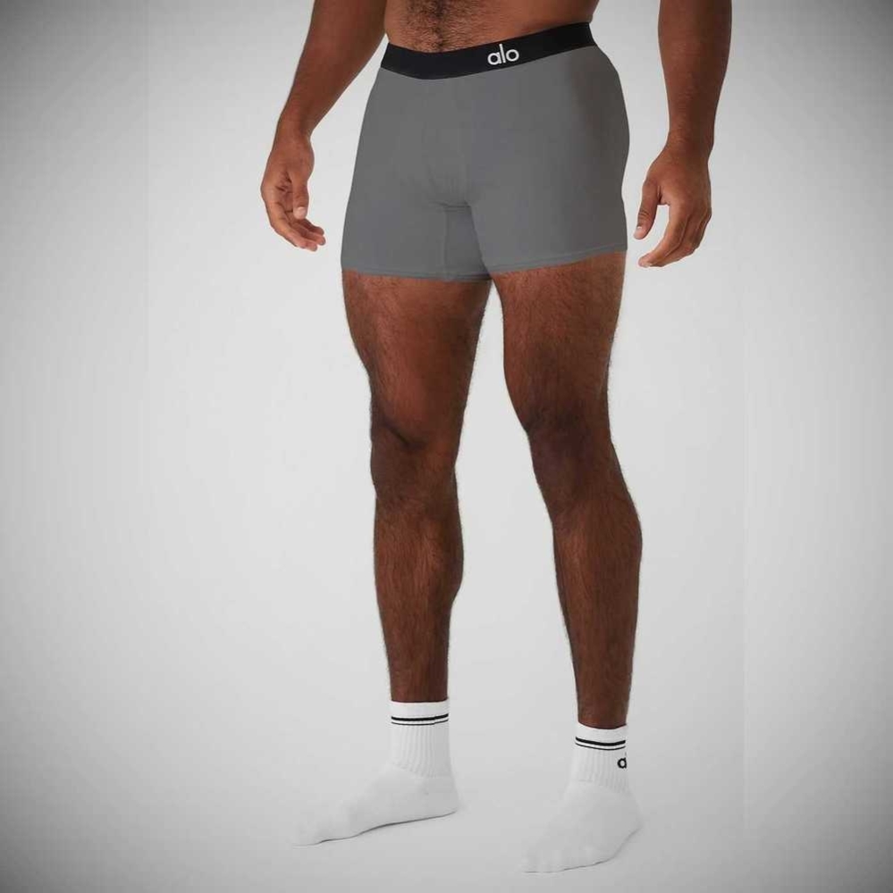 Ropa Interior Alo Yoga Day And Night Boxer Brief Hombre Grises | MX-23DRSM