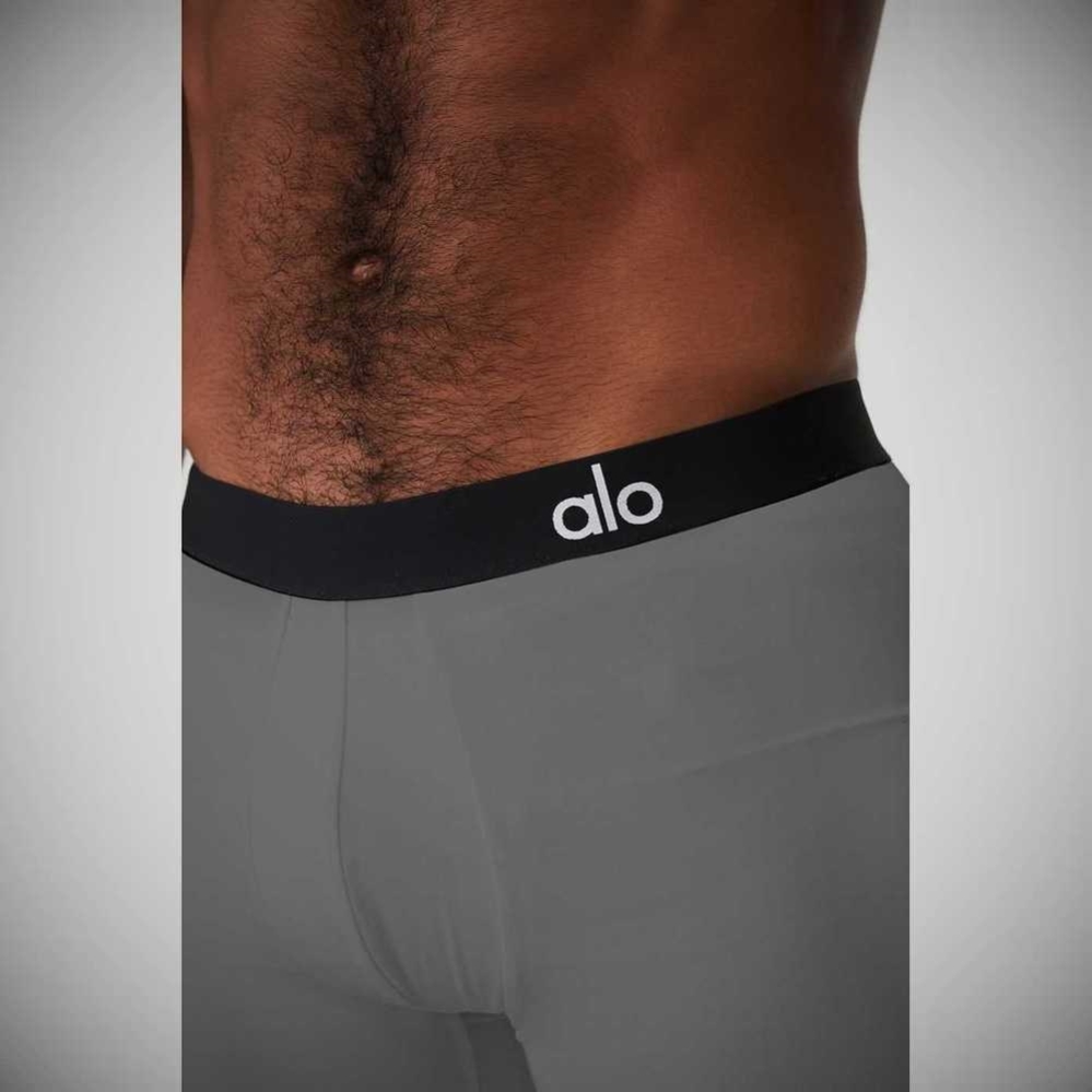 Ropa Interior Alo Yoga Day And Night Boxer Brief Hombre Grises | MX-23DRSM