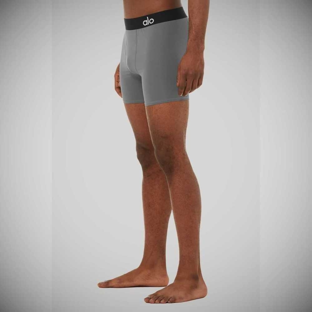 Ropa Interior Alo Yoga Hero Underwear Hombre Grises | MX-50TEYH