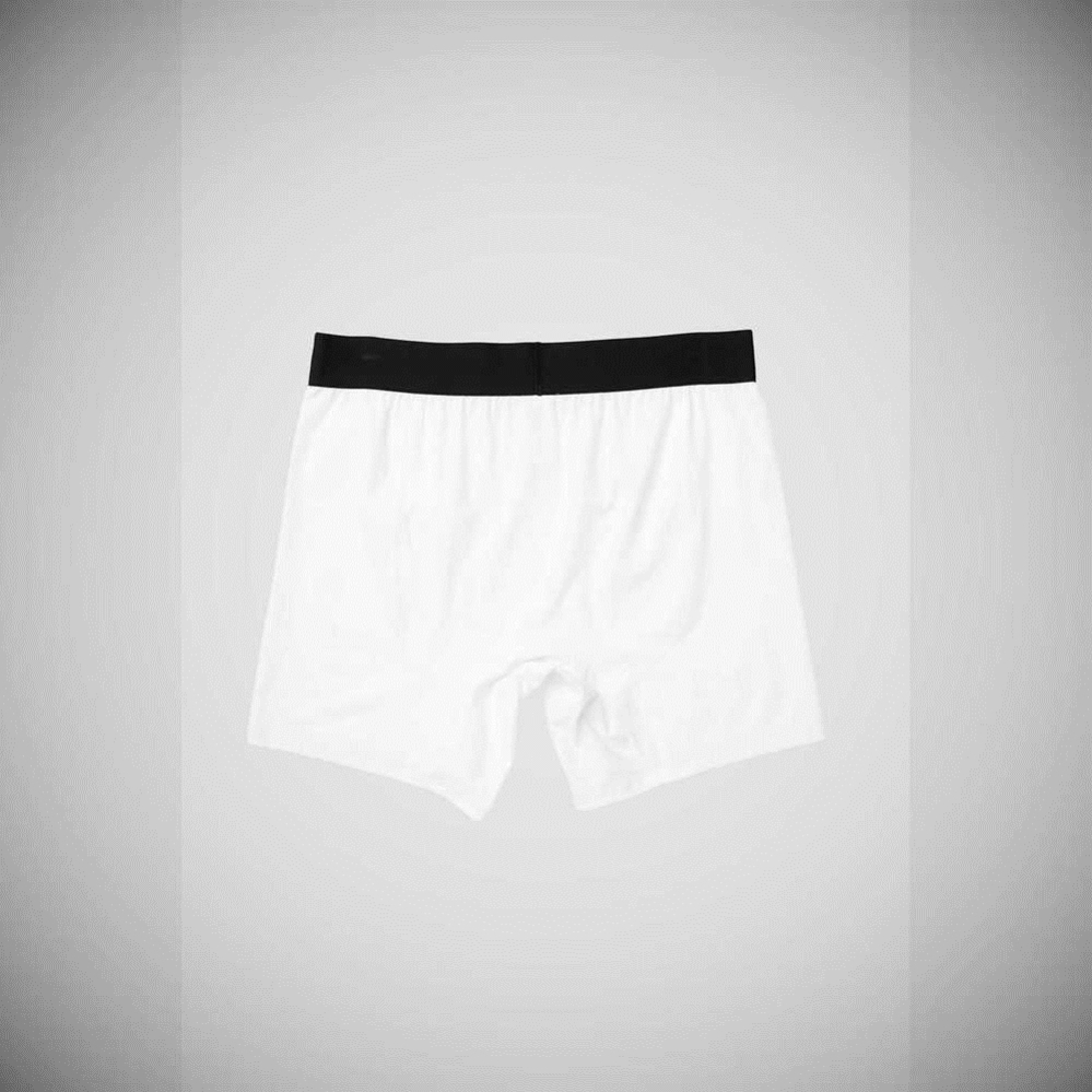 Ropa Interior Alo Yoga Hero Underwear Hombre Blancos | MX-91HUMX