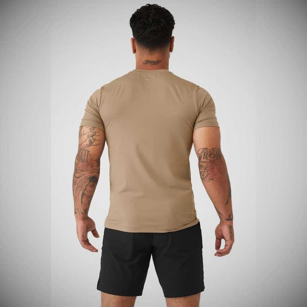 Short Sleeve Alo Yoga Conquer Reform Crewneck Hombre Marrom | MX-21MDOJ