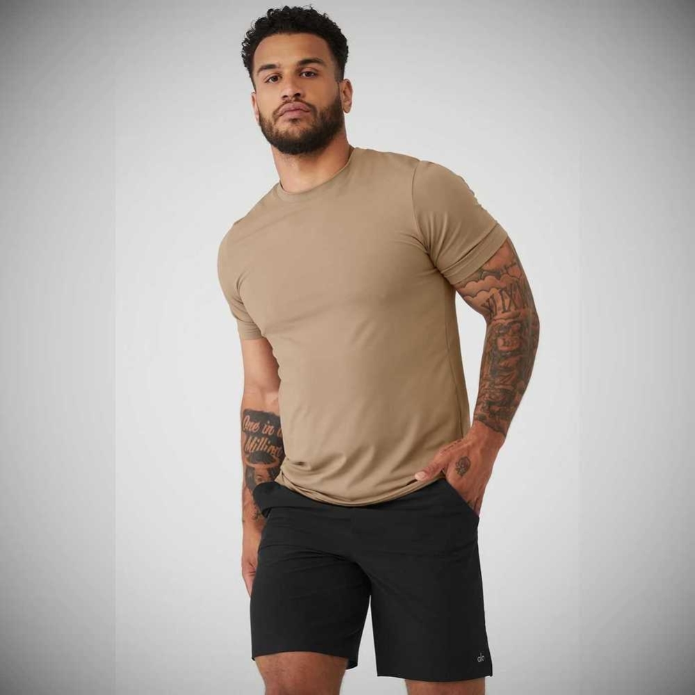 Short Sleeve Alo Yoga Conquer Reform Crewneck Hombre Marrom | MX-21MDOJ