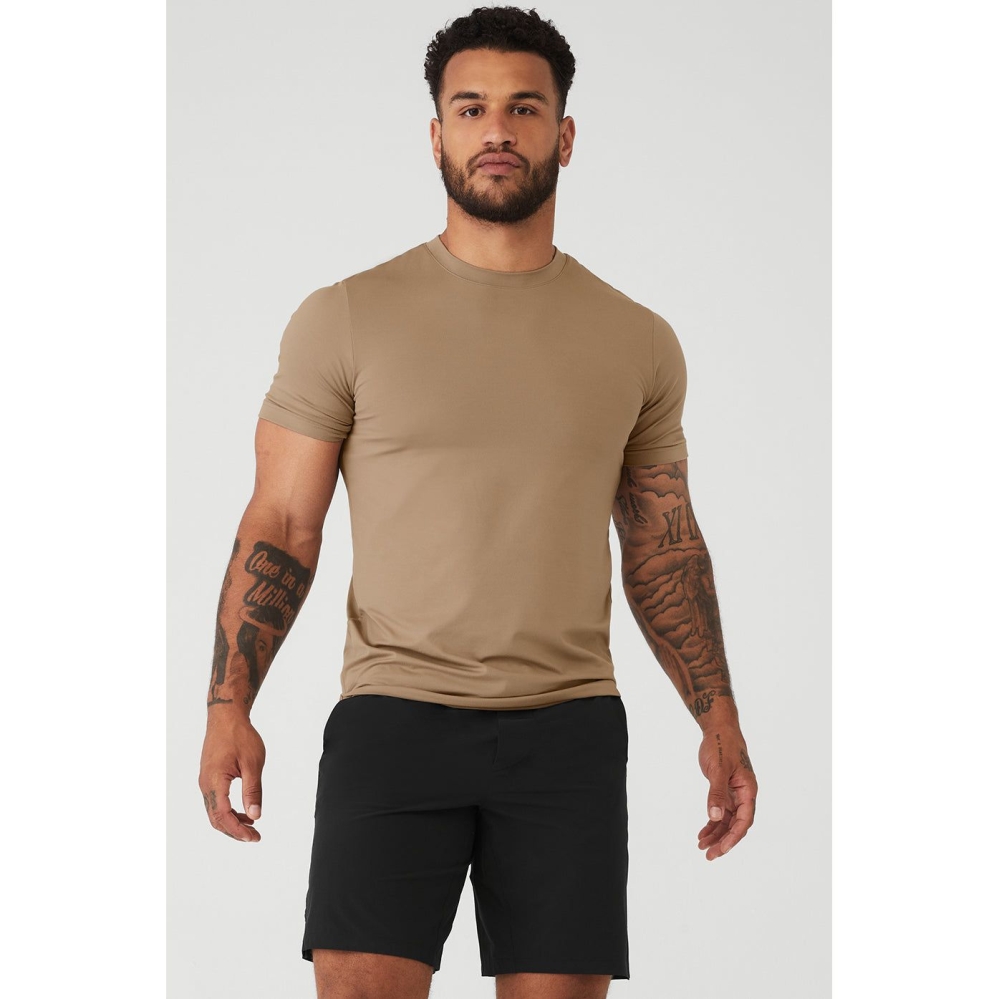 Short Sleeve Alo Yoga Conquer Reform Crewneck Hombre Marrom | MX-21MDOJ