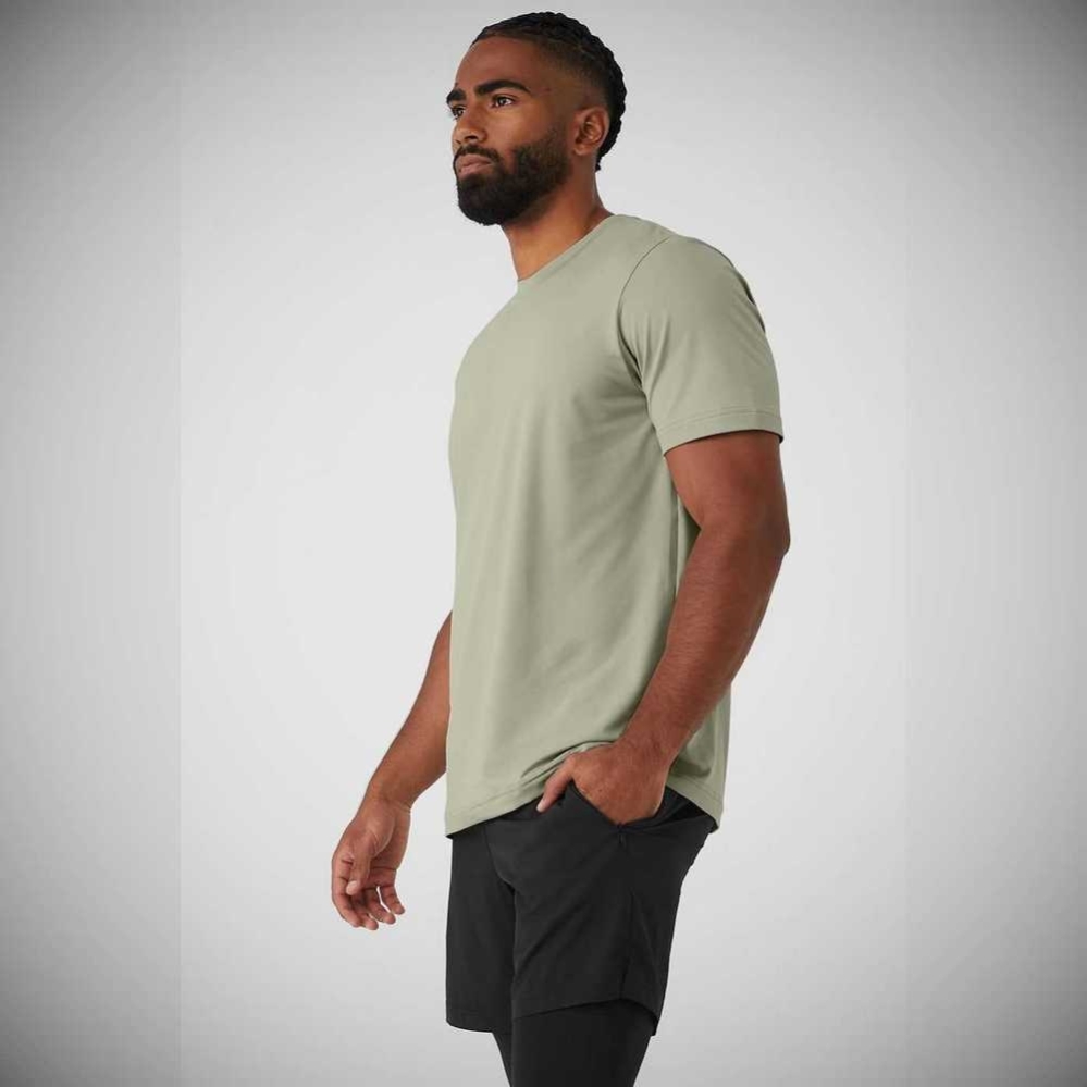 Short Sleeve Alo Yoga Conquer Reform Crewneck Hombre Grises | MX-36LDNM