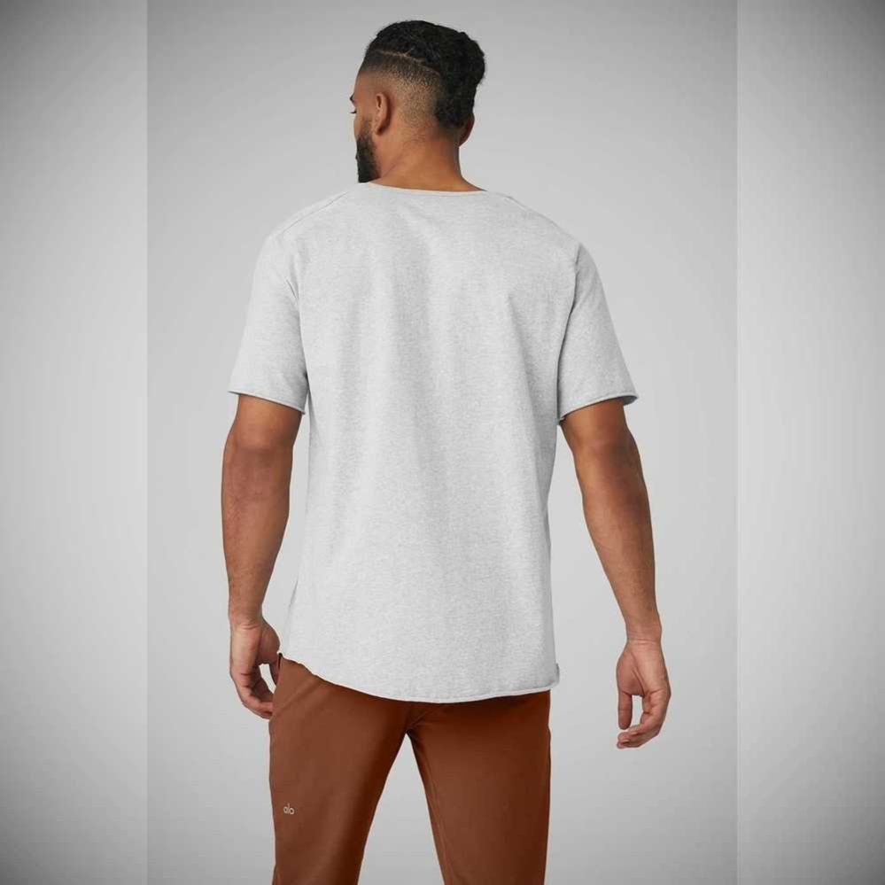 Short Sleeve Alo Yoga Society Crewneck Tee Hombre Grises | MX-31RHCD