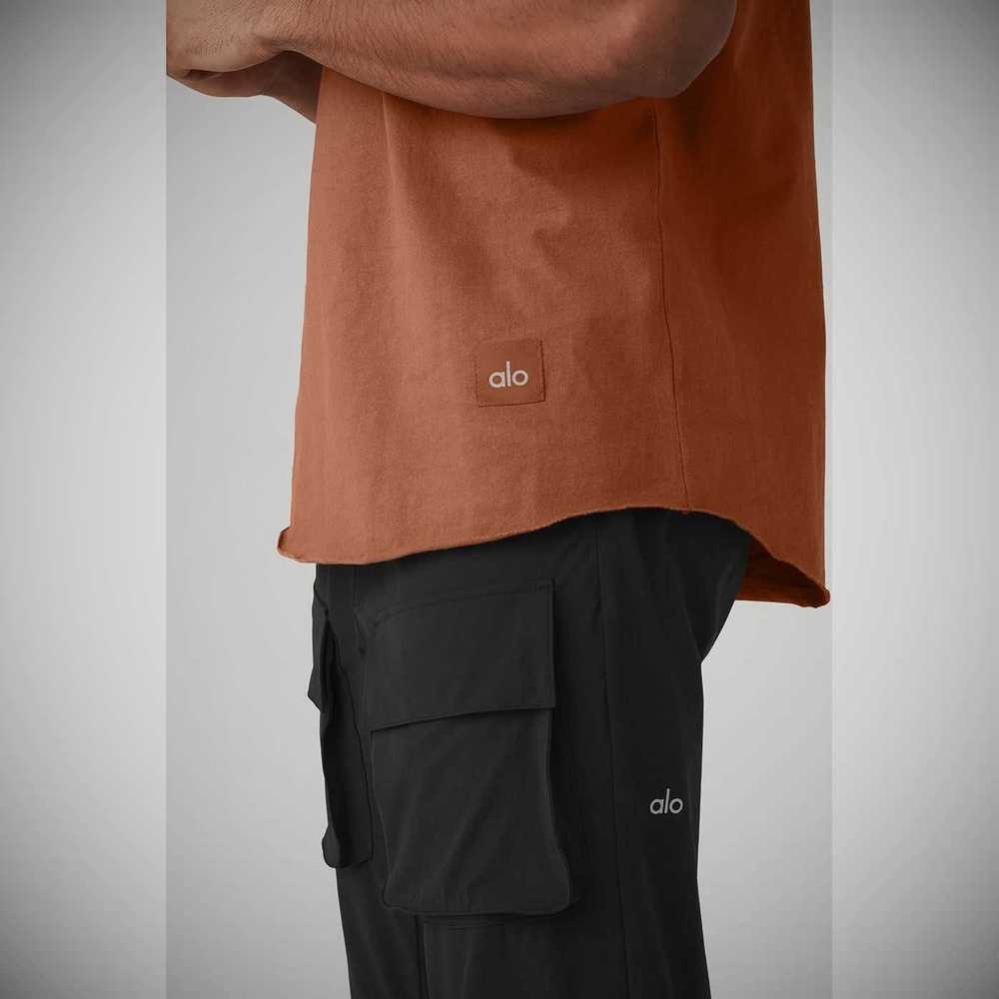 Short Sleeve Alo Yoga Society Crewneck Tee Hombre Rust | MX-86SIUC