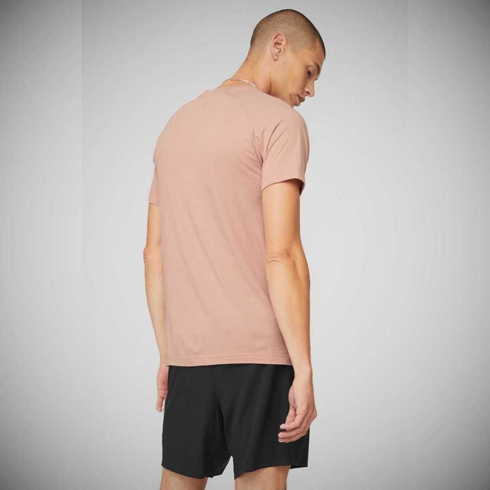 Short Sleeve Alo Yoga The Triumph Crew Neck Tee Hombre Rosas Grises | MX-29SBLO