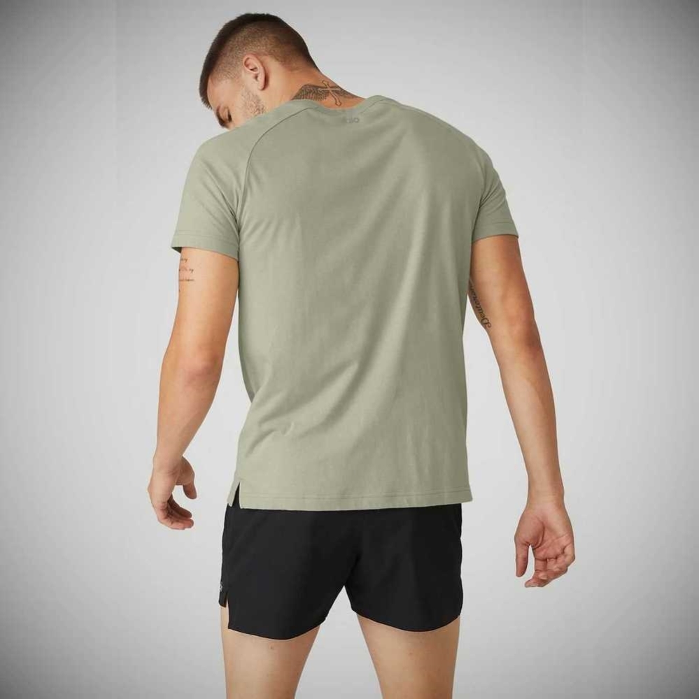 Short Sleeve Alo Yoga The Triumph Crew Neck Tee Hombre Grises | MX-71GABI