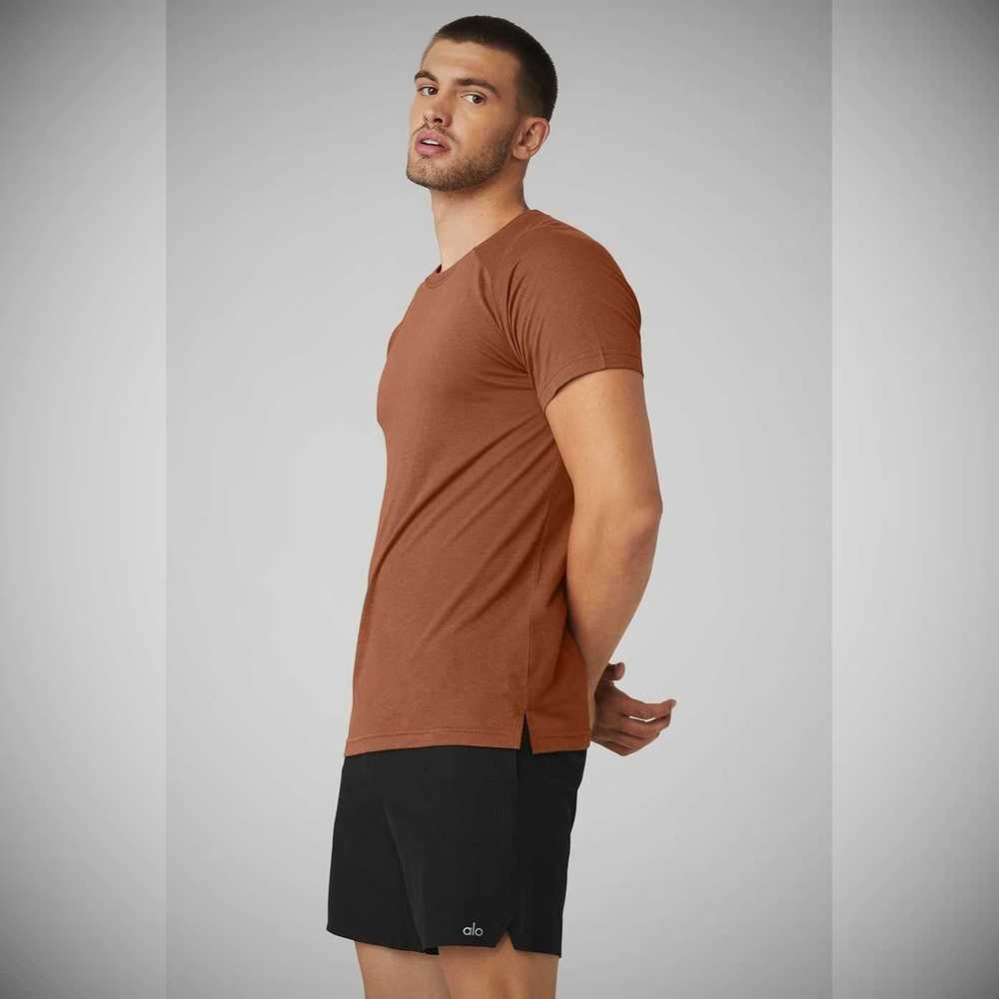 Short Sleeve Alo Yoga The Triumph Crew Neck Tee Hombre Rust | MX-75WMEL