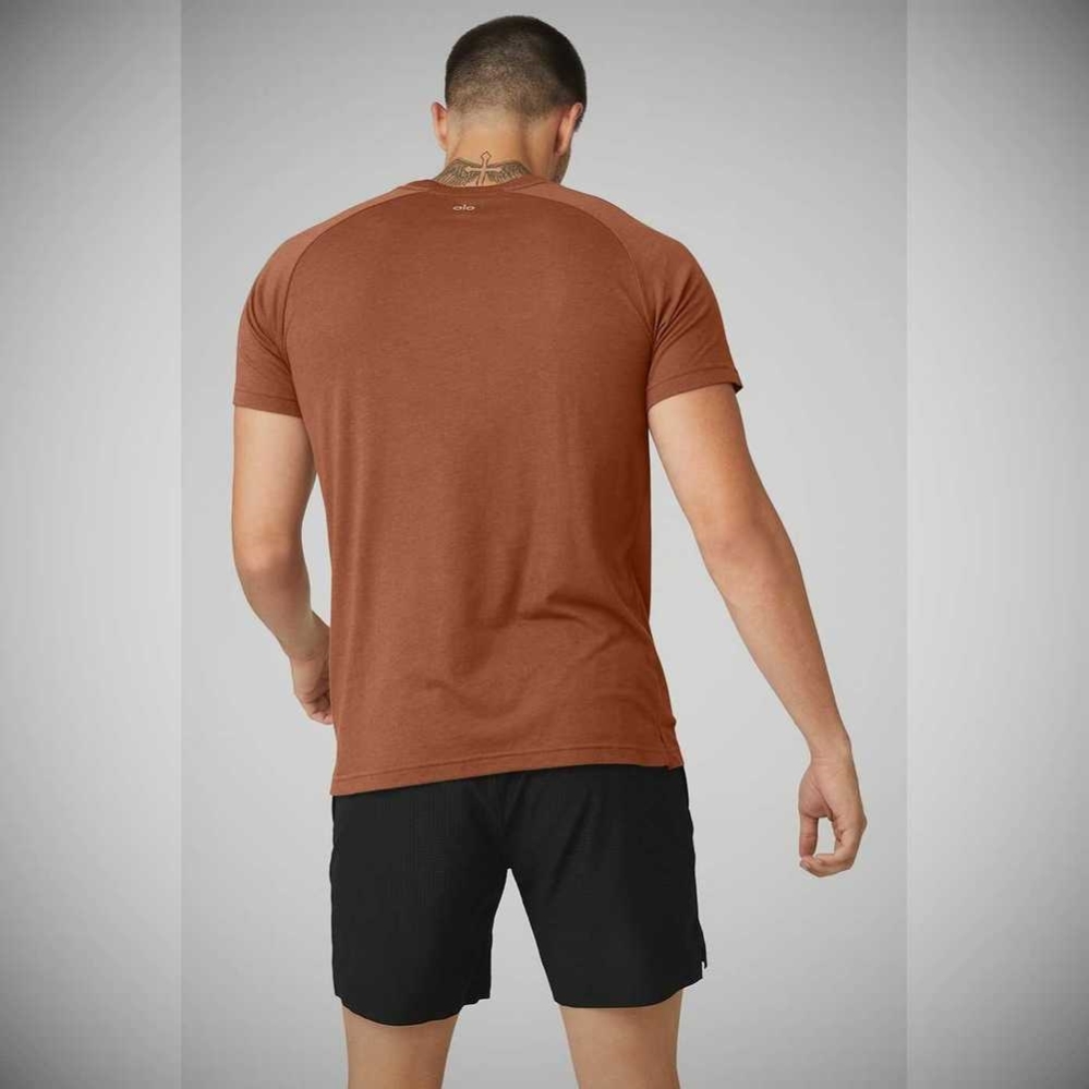 Short Sleeve Alo Yoga The Triumph Crew Neck Tee Hombre Rust | MX-75WMEL