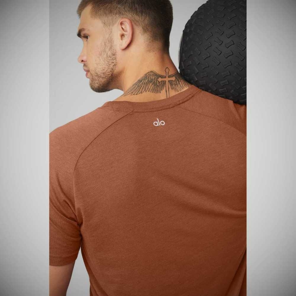 Short Sleeve Alo Yoga The Triumph Crew Neck Tee Hombre Rust | MX-75WMEL