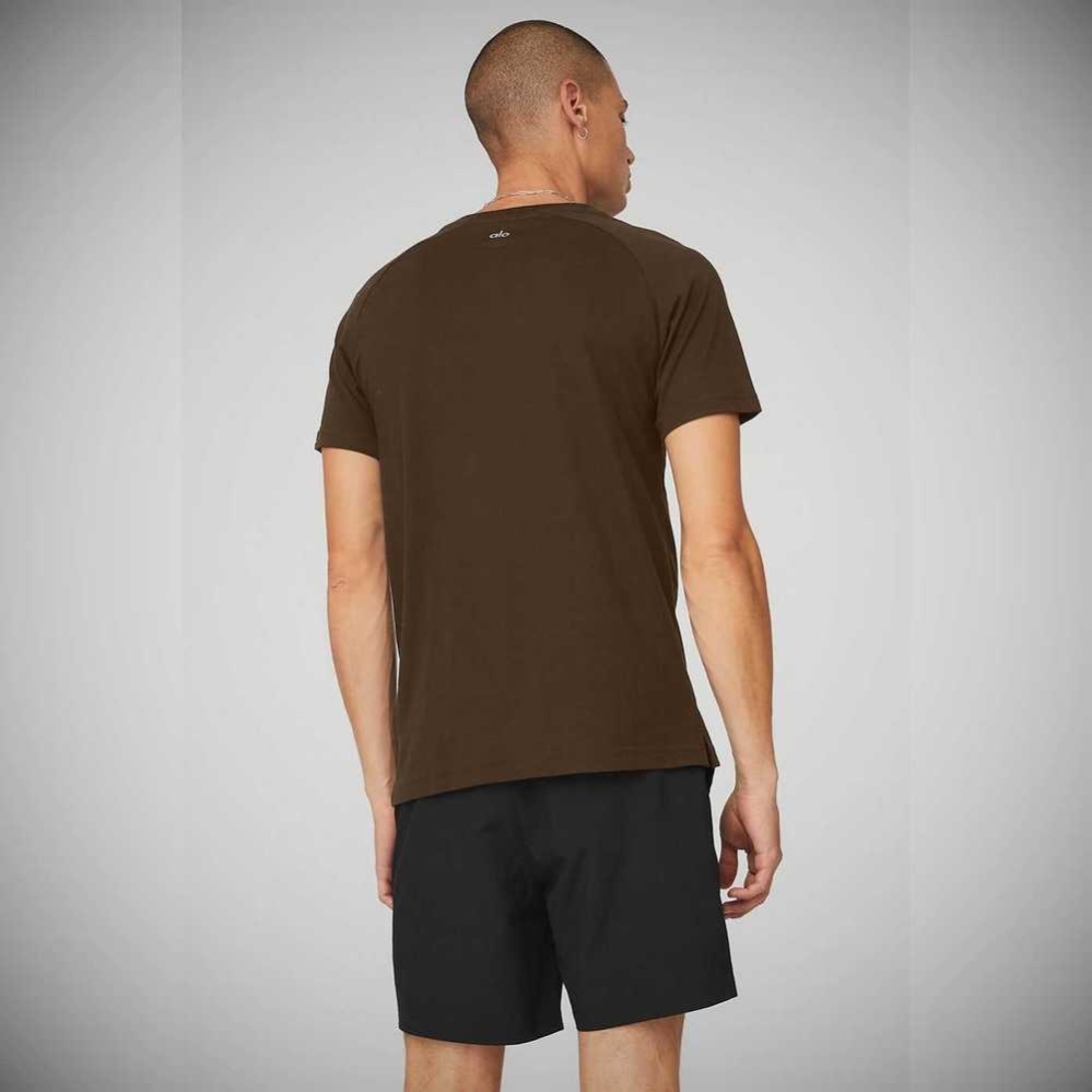 Short Sleeve Alo Yoga The Triumph Crew Neck Tee Hombre Cafes | MX-92MYHF