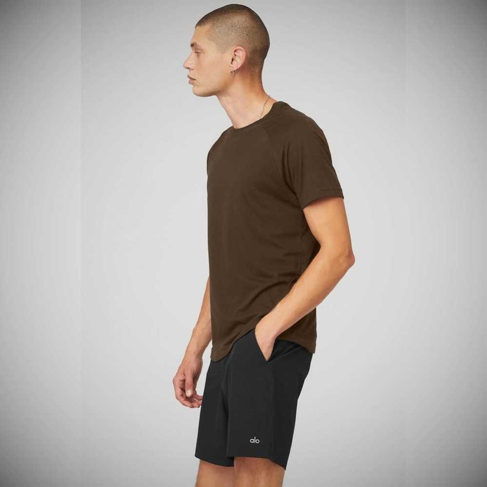 Short Sleeve Alo Yoga The Triumph Crew Neck Tee Hombre Cafes | MX-92MYHF