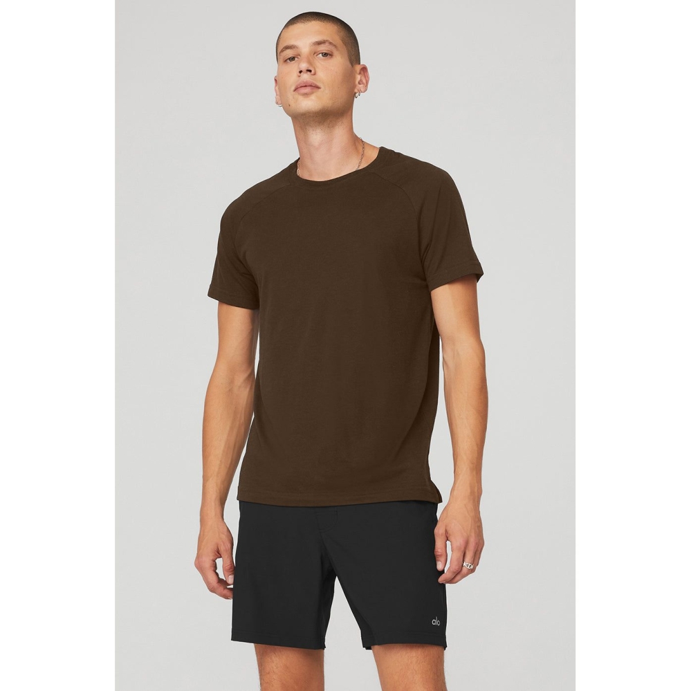 Short Sleeve Alo Yoga The Triumph Crew Neck Tee Hombre Cafes | MX-92MYHF