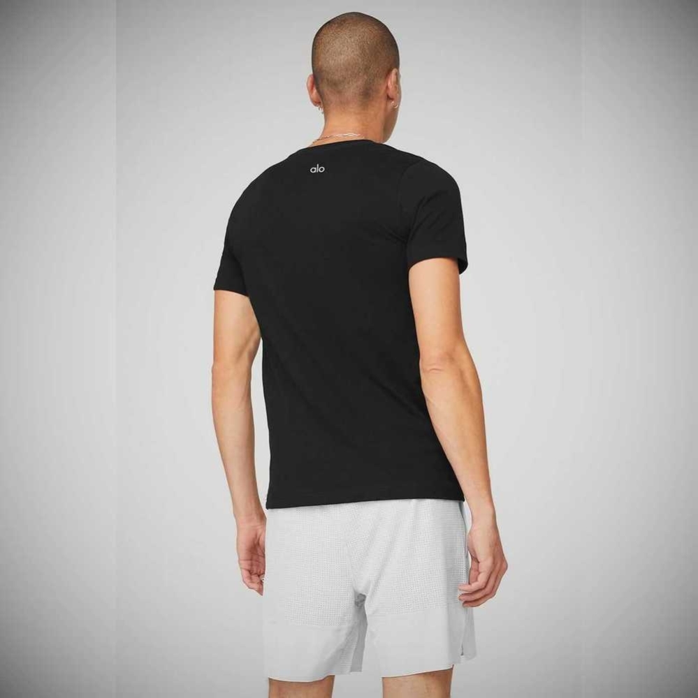 Short Sleeve Alo Yoga The Triumph V-Neck Tee Hombre Negros | MX-54QKME