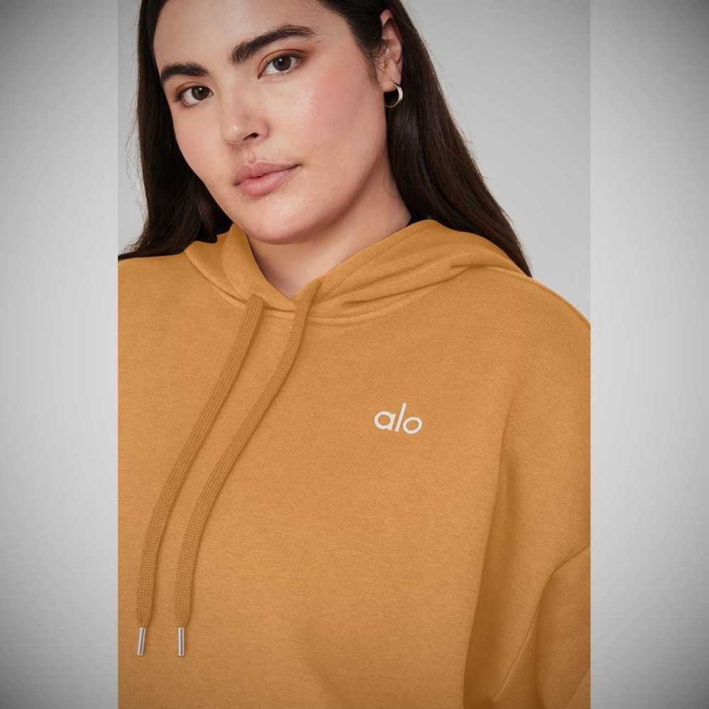 Sudadera Con Capucha Alo Yoga Accolade Mujer Toffee | MX-87ZJCS