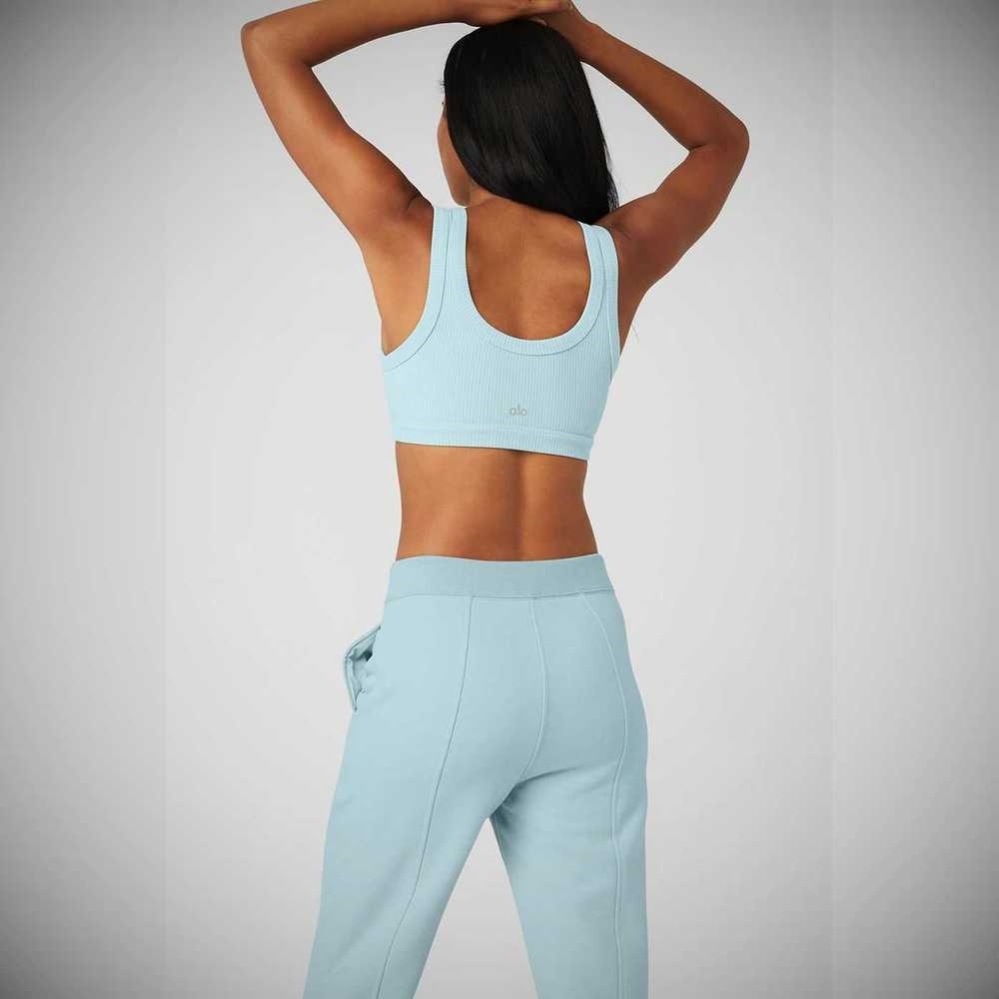 Sujetadores Alo Yoga Wellness Mujer Azules | MX-75EWIL